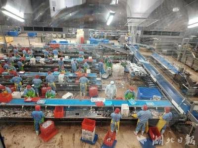 新理念、新模式、新產(chǎn)業(yè)--嘉魚(yú)縣水產(chǎn)養(yǎng)殖轉(zhuǎn)型升級(jí)創(chuàng)新模式