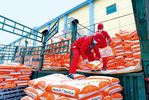 瞭望 扶貧要避免政策沒了,企業(yè)走了,項(xiàng)目黃了 專訪首農(nóng)食品集團(tuán)董事 首農(nóng)股份公司董事長(zhǎng)尹彥勛