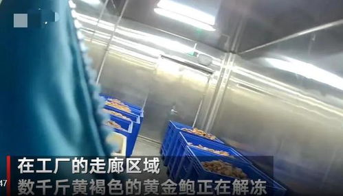 觸目驚心！大連海產品加工廠曝光2大食品黑科技，消費者需警惕識別